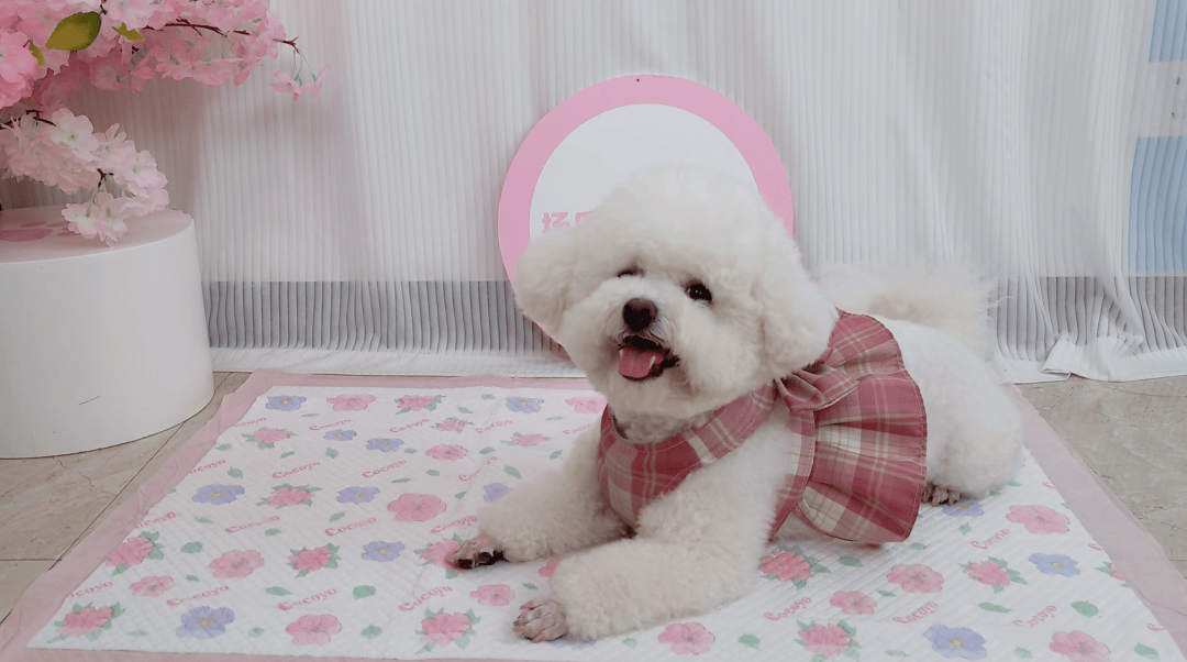 告:近万商家销售额从0增长到百万刺激实体经济新增量澳门新葡京app抖音电商2025兴趣产业带数据报(图6) 告:近万商家销售额从0增长到百万刺激实体经济新增量澳门新葡京app抖音电商2025兴趣产业带数据报(图6)